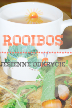 ROOIBOS, NASZE ODKRYCIE