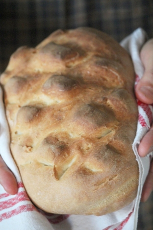 Pan rustico - chleb pszenny na drożdżach