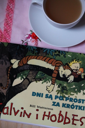 Calvin i Hobbes. Dni są po prostu za krótkie