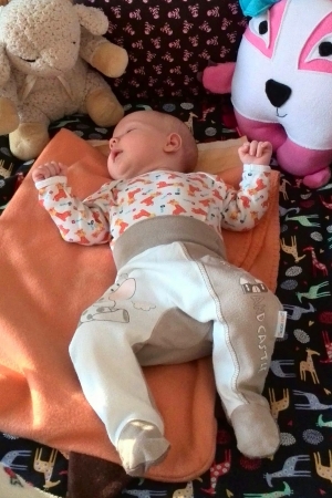 Zosia i Filip 2015: 7/52