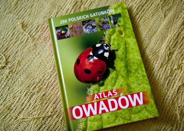 Przygoda z książką – Atlas owadów