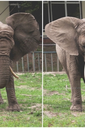 Jeden dzień w Zoo Gdańsk – fotorelacja i kilka praktycznych wskazówek