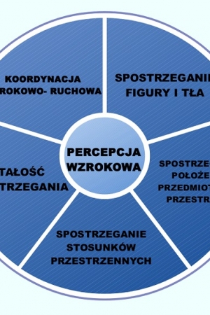 Percepcja wzrokowa czyli jak rozwijać wzrok ( i nie tylko) - Agata Wałkowska