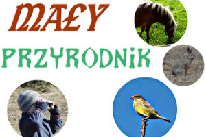 Wrześniowy Mały Przyrodnik