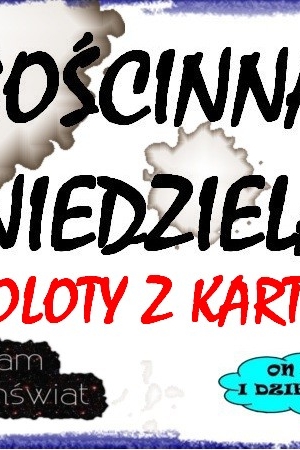 Gościnna niedziela: Samoloty z kartonu