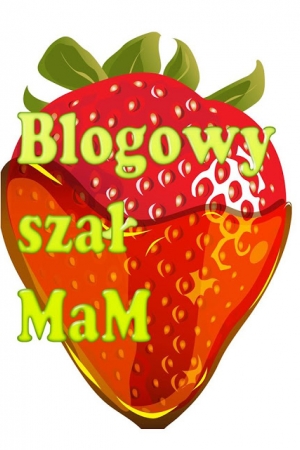 Blogowy Szał Mam- Łęczyca blogerom i nie tylko