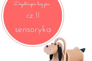 Dogoterapia bez psa - cz II sensoryka