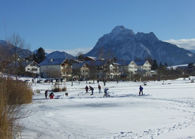 ferie alergika