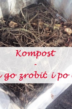 Jak zrobić kompost - po co i jak?